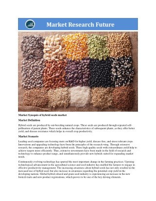 Hybrid Seeds Market Research Report