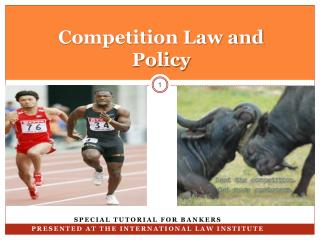 Competition Law and Policy