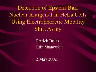 Detection of Epstein-Barr Nuclear Antigen-1 in HeLa Cells Using Electrophoretic Mobility Shift Assay