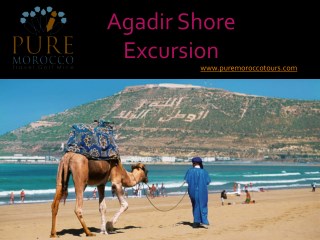 Agadir Shore Excursion