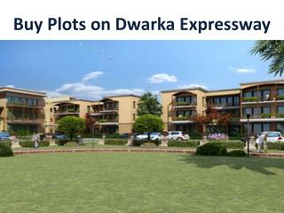 Budget Plots on Dwarka Expressway