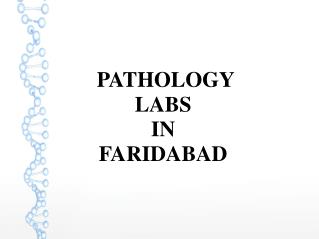 HIV Screening Package Test in Faridabad