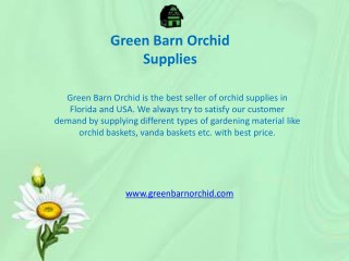 Orchid Baskets for Sale Online in Florida