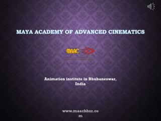 Website Designing Course in Bhubaneswar - Maya Academy of Advanced Cinematics