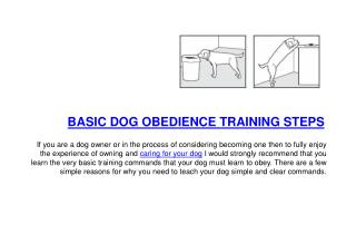 Basic Dog Obedience Training Steps