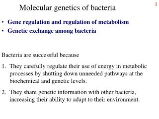 Molecular genetics of bacteria