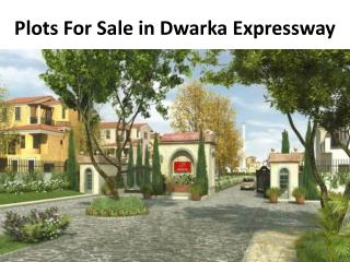 Plots on Dwarka Expressway