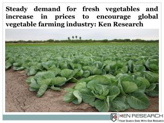 Global Crop Production Market Forecast & Market Size, North America Vegetable Farming Market Research - Ken Research