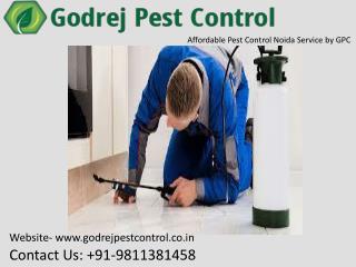 Get World-Class Pest Control Gurgaon services