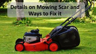 Details on Mowing Scar and Ways to Fix it