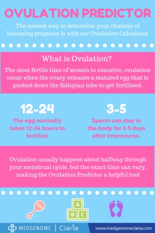 Ovulation Predictor