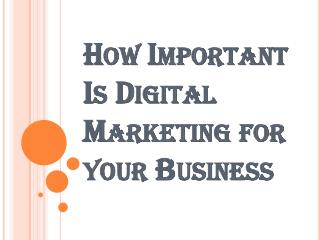 What is Search Engine Optimization NYC?