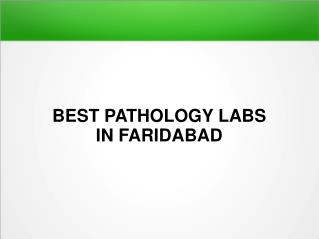 Kidney Function Test in Faridabad