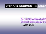 URINARY SEDIMENT IN DISEASES