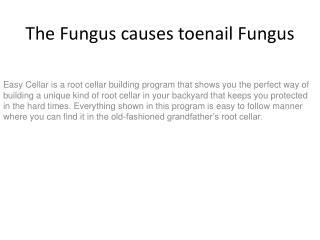 The Fungus causes toenail Fungus