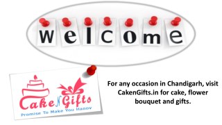 Who to choose to give any cake or gift to any session, birthday, party, or anyone in Chandigarh?