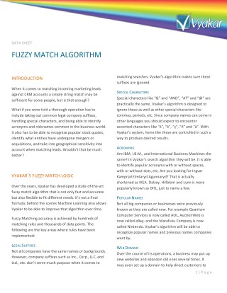Fuzzy Match Algorithm