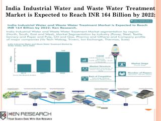 Triveni Water Treatment Business, IGF Manufacturers in India: Ken Research