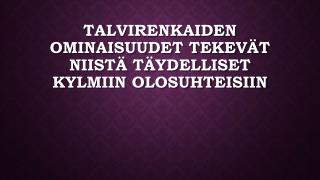 Talvirenkaiden ominaisuudet tekevÃ¤t niistÃ¤ tÃ¤ydelliset kylmiin olosuhteisiin
