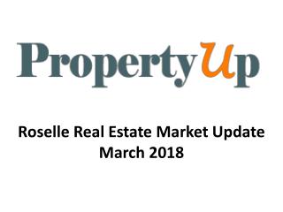 Roselle Real Estate Market Update March 2018