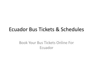 Ecuador bus service