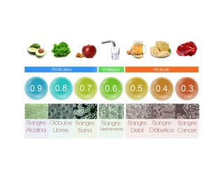 Dieta Alcalina Pdf, Tabla De Alimentos Alcalinos, Beneficios Del Agua Alcalina, Frutas Para Adelgazar
