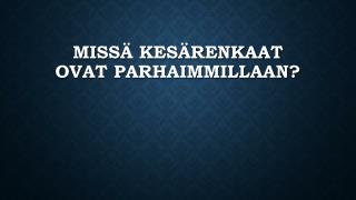 MissÃ¤ kesÃ¤renkaat ovat parhaimmillaan?