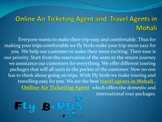 Online Air Ticketing Agent and Travel Agents in Mohali
