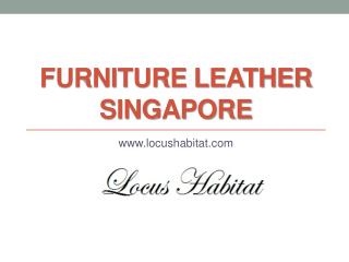 Furniture Leather Singapore - www.locushabitat.com