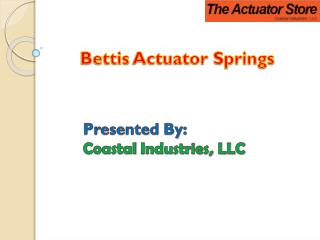 Bettis Actuator Springs