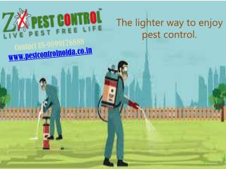 Pest Control Service in Greater Noida West