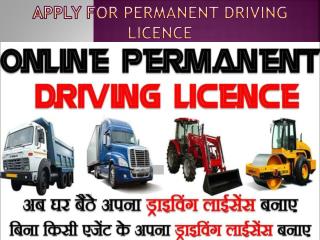 Apply for Permanent Driving Licence