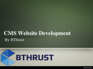 CMS website development