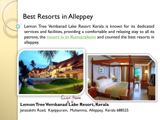 Lake View Resort Alleppey