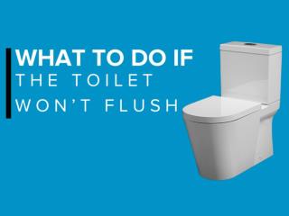 What To Do If The Toilet Won't Flush?