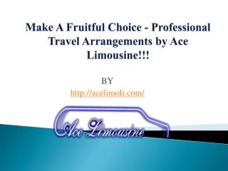 Make A Fruitful Choice - Professional Travel Arrangements by Ace Limousine!!!