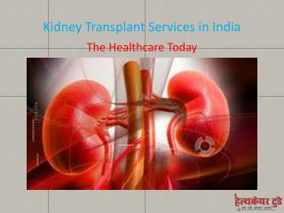 Kidney Transplant Services in India