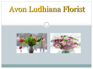 Cake delivery in Ludhiana | Avon Ludhiana Florist