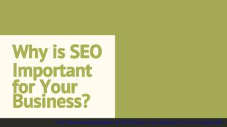 Why is SEO Important for Your Business?