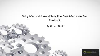 Why Medical Cannabis Is The Best Medicine For Seniors?