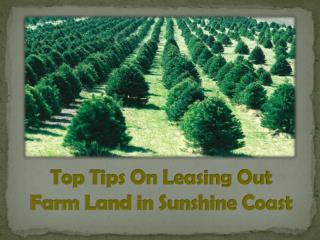What to check before Leasing the Commercial Farm Site