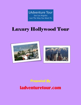 Luxury Hollywood Tour