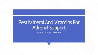 Best Mineral And Vitamins For Adrenal Support