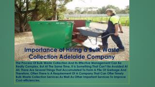 Importance of Hiring a Bulk Waste Collection Adelaide Company