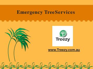 Emergency Tree Removal Brisbane South