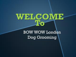 Looking for the best Dog Grooming services in Fitzrovia