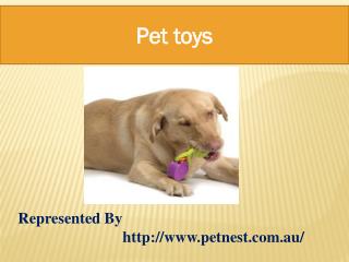 pet toys
