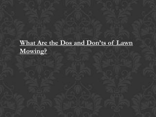 What Are the Dos and Donâ€™ts of Lawn Mowing?