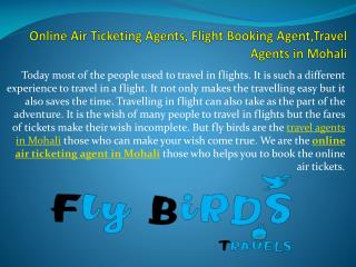 Online Air Ticketing Agents, Flight Booking Agent,Travel Agents in Mohali