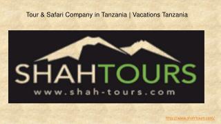 Affordable Tours and Travels Company in Tanzania